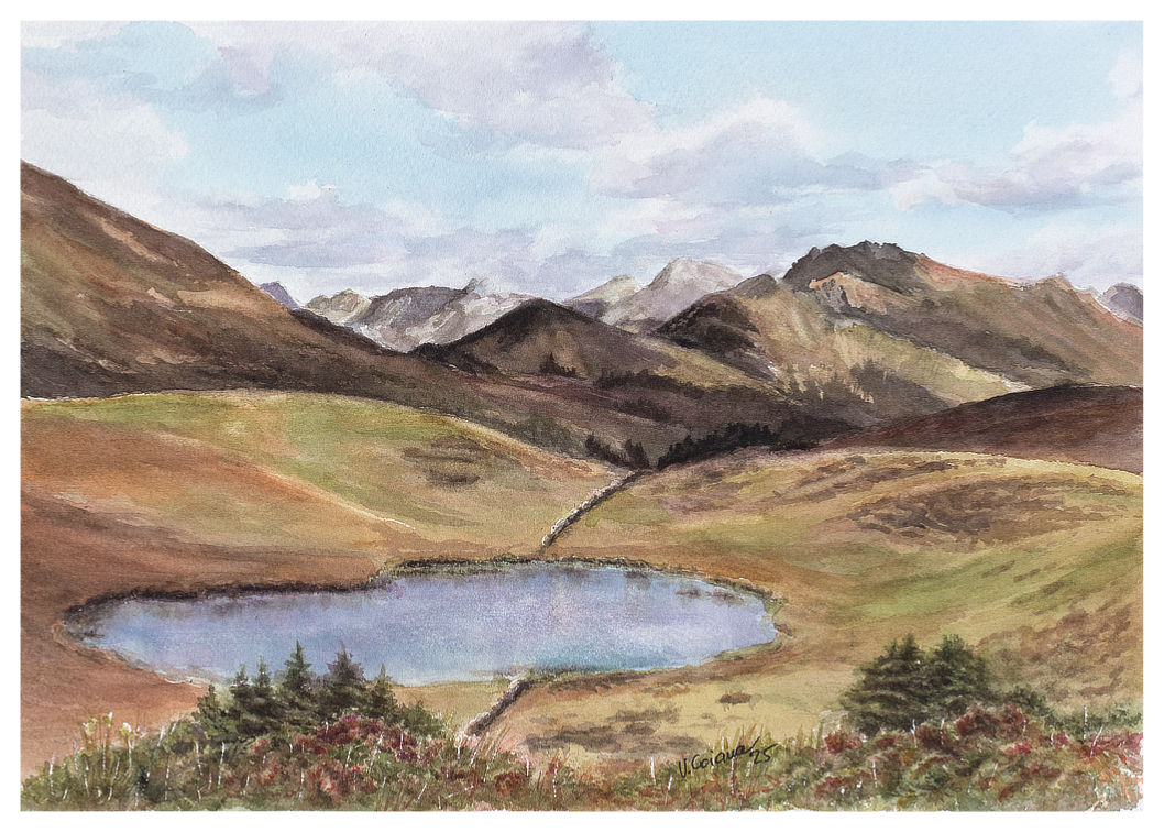 aquarelle Victoria Coiana A l'heure des dernières myrtilles