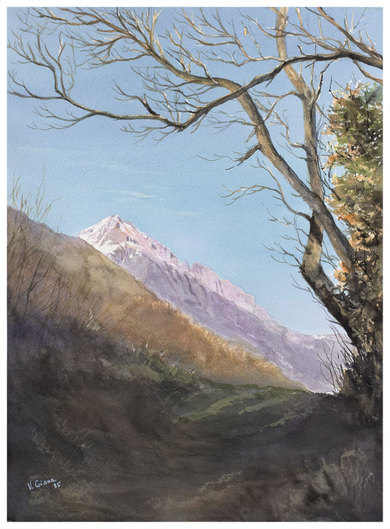 aquarelle Victoria Coiana Le Sentier des bulbocodes
