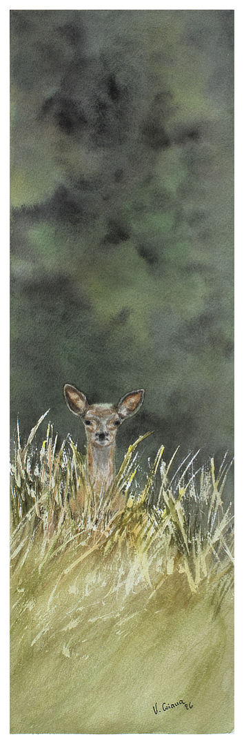 aquarelle Victoria Coiana Qui va là?